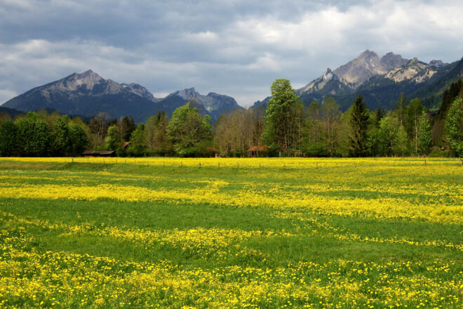 Wanderung - Rund um Kloster Ettal