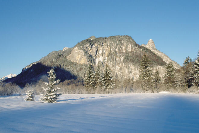 Winterwanderung - Weidmoos