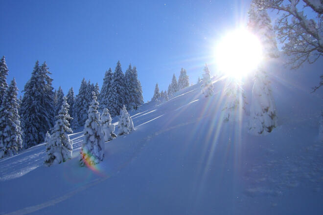 Schneeschuhwanderung Laber - Wintersonne und verschneiter Bergwald am Ettaler Manndl