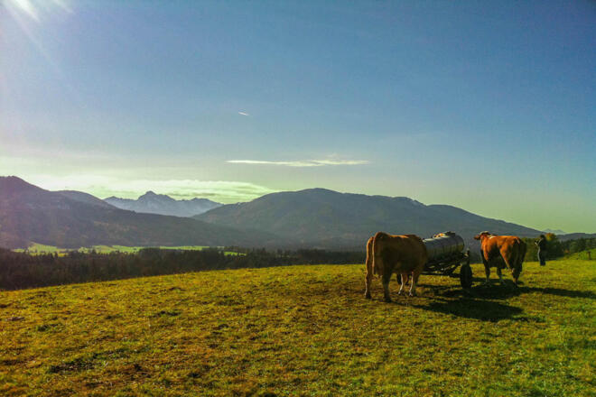 Wanderung - Zum Ammerdurchbruch