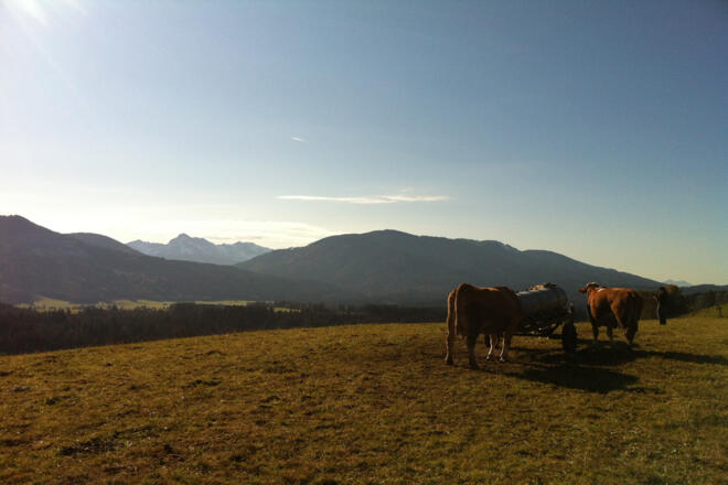 Fernwanderweg Meditationsweg Ammergauer Alpen - Blick vom Wetzsteinrücken
