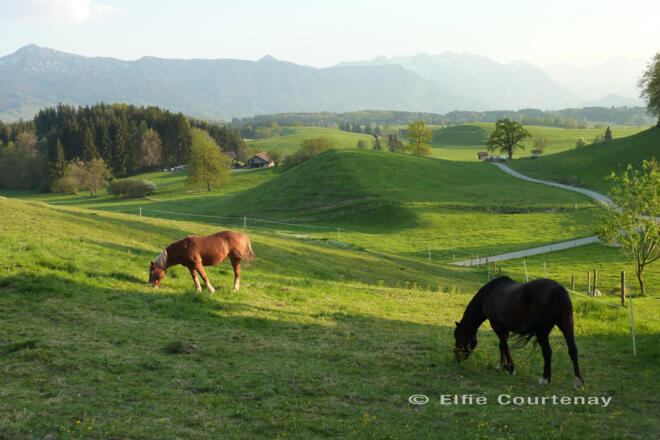 Fernwanderweg - Meditationsweg, 3. Etappe - Blick vom Aidlinger Höhenweg