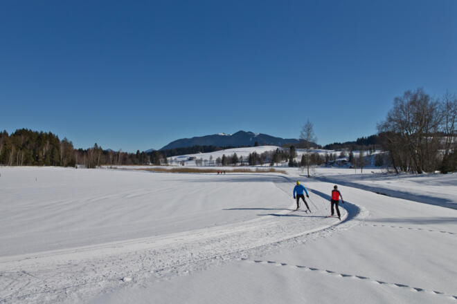 Winterwanderung - Soier See Rundweg