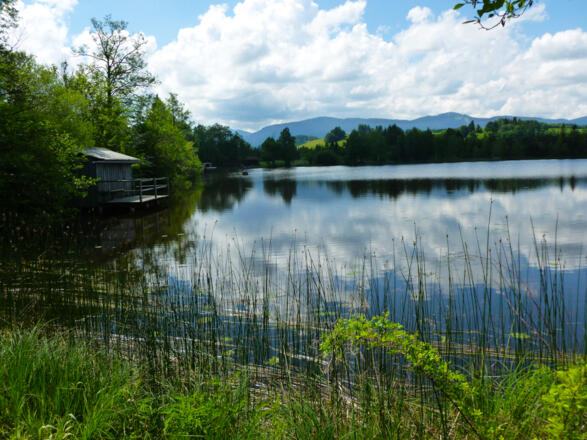 Kloster Rottenbuchrunde, Schwaigsee