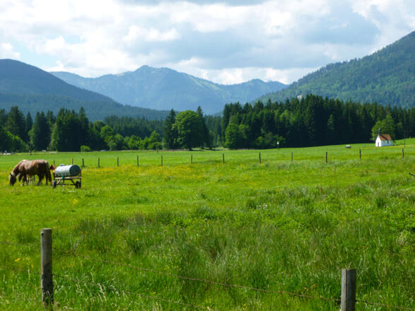 Kloster Rottenbuchrunde, zw. Unternogg und Morgenbach
