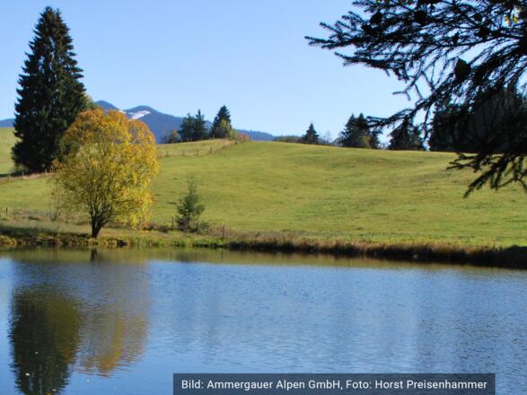 Kur- und Tourist Information Bad Kohlgrub
