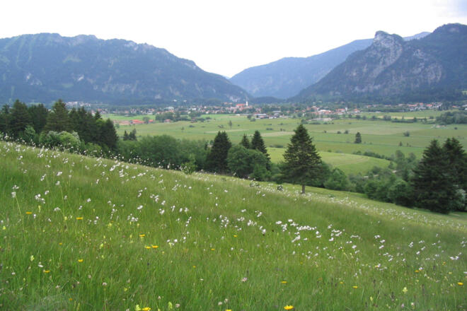 Nordic Walking - Kulturlandschaft Genusstour