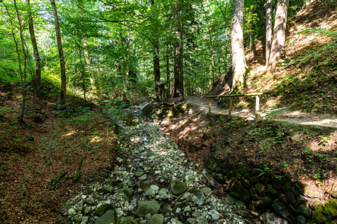 Pfad am Obernaugraben