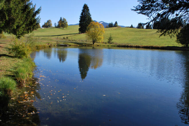 Fernwanderweg Meditationsweg Ammergauer Alpen - Böhmerweiher