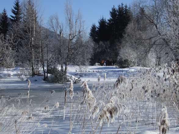 Inzell/Chiemgau: Auf der Langlaufstrecke kleine Filzenrunde die atemberaubende Landschaft genießen