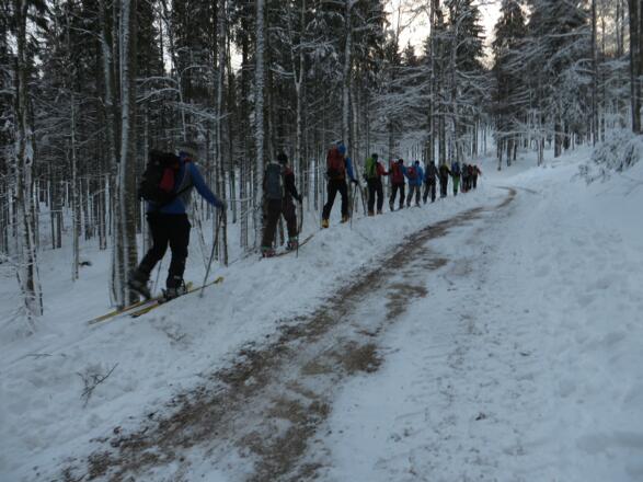 Anstieg, die ersten 450 Hm mit Ski oder Schneeschuhe, hier neben geräumter Forststraße&quot;!