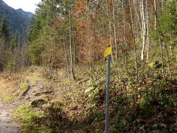 Abzweigung nach 15 Min.