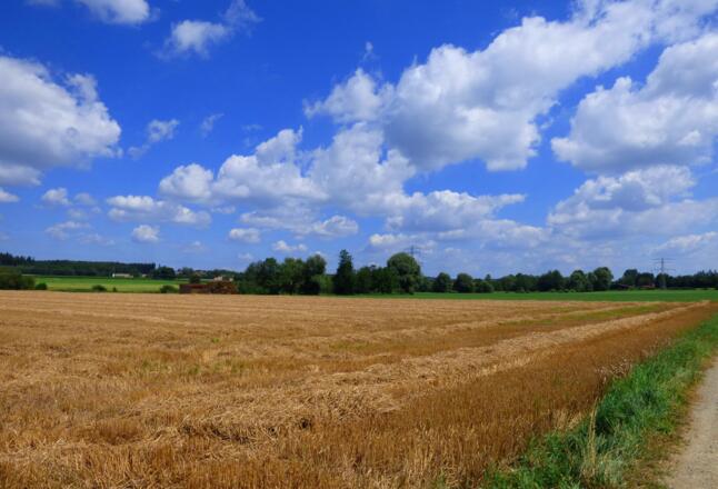 Im Tal der Rott bei Massing