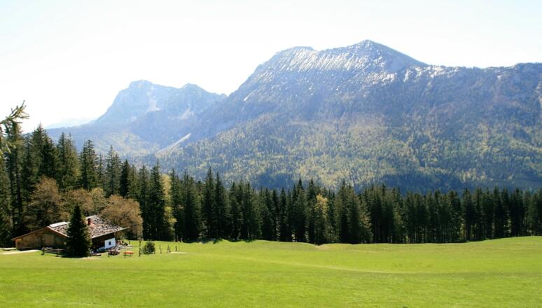 Bäckeram mit Hochstaufen