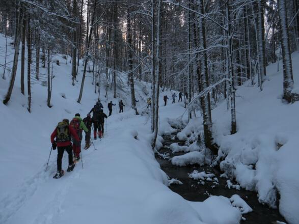 schön idyllisch am Bach entlang