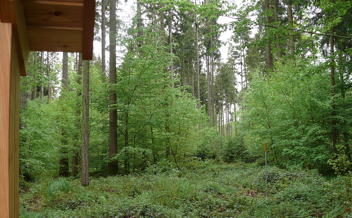 Sensationeller Blick auf Bad Reichenhall und die Berge