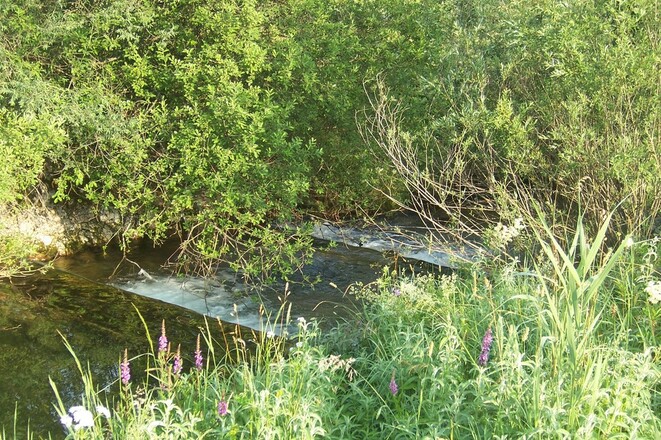 Inzeller Moor: rauschende, klare Gebirgsbäche an der Kalorienpromande