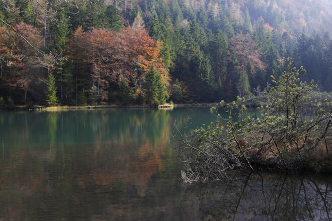 Farbenspiel am Falkensee