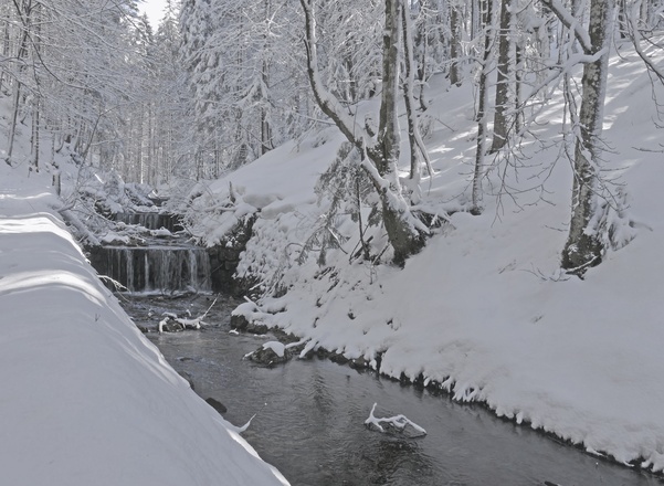 Traumhafte Schneelandschaft in Inzell