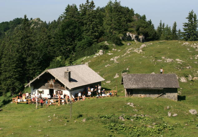 Kohleralm 1450 m.