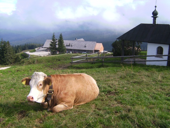 Idylle an der Almkapelle