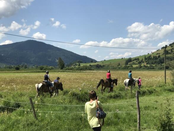 Reiten