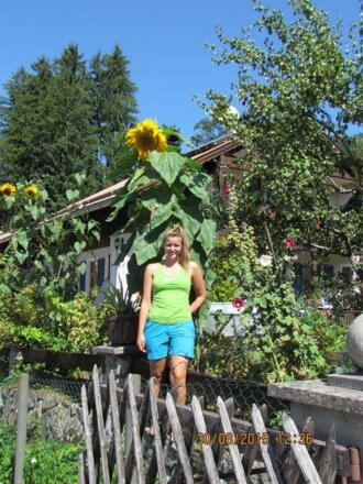 unser Schonnenschein