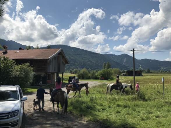Reiten