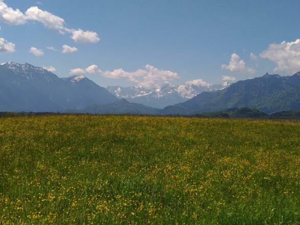 Alpen-Land-Eschenlohe