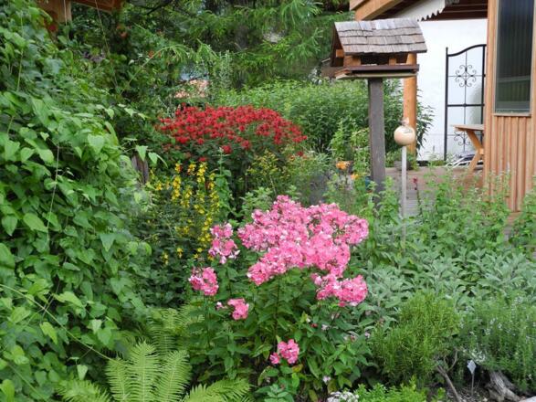 Garten im Sommer