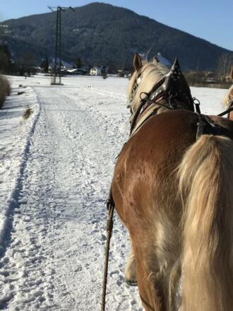 Kutschfahrt - Winter