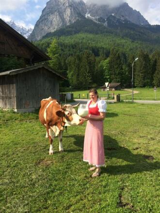 das weiße Gold der Berge