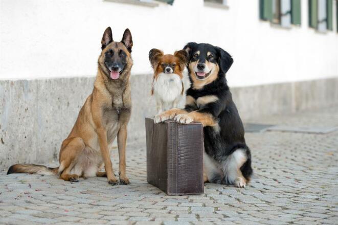 Auf gehts in den Urlaub