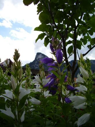 Der Kofel, unser Hausberg