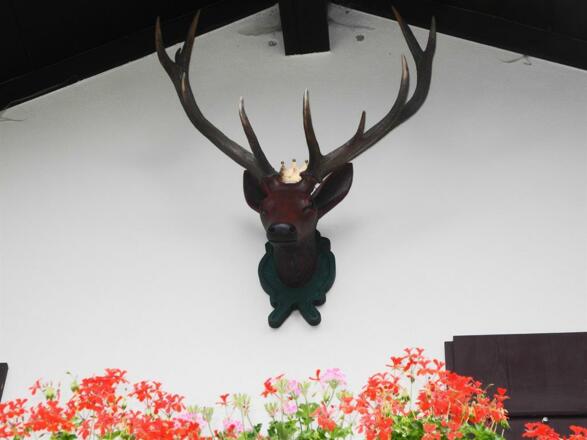 Ferienwohnungen Grainau &quot;Der gekrönte Hirsch&quot;