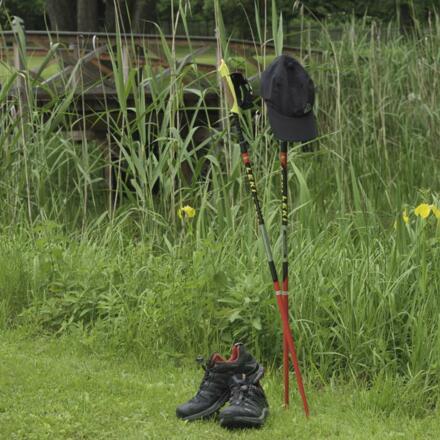 Walking_ 033