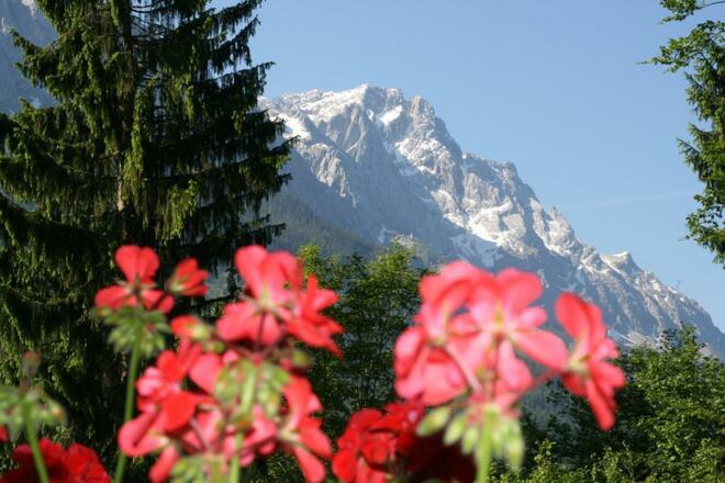 Blick aus dem Einzelzimmer