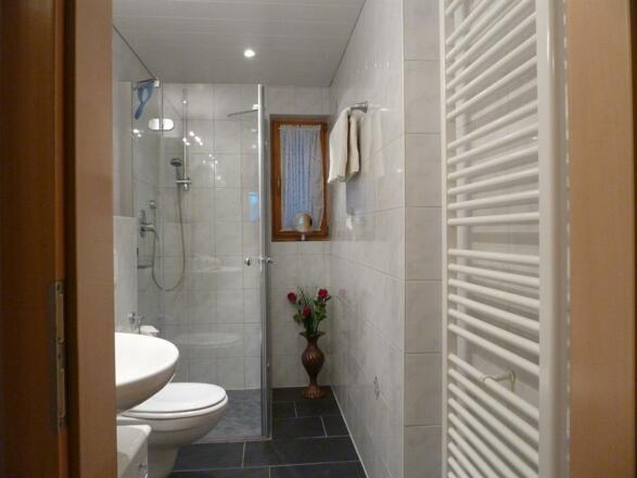 Alpspitzblick Dusche / WC