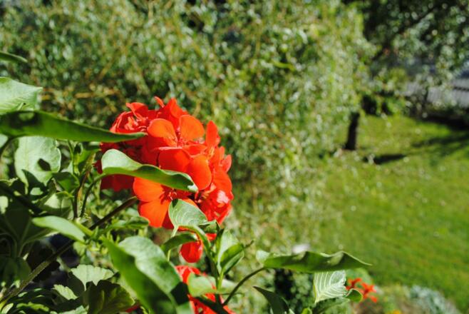 12052570_1501885390141466_8926959528998065081_o