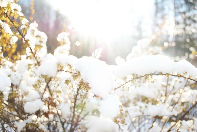 12307605_1540472456282759_4054571268039367916_o