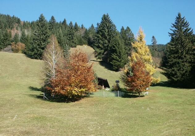 Platz zum Entspannen