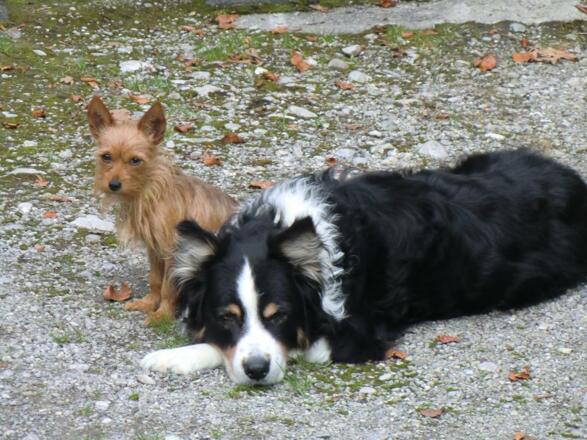 Auf gute Nachbarschaft