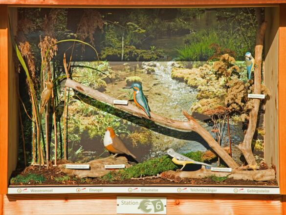 Schaukasten, Station 6