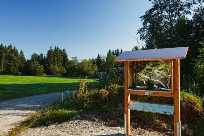 Schaukasten, Station 6