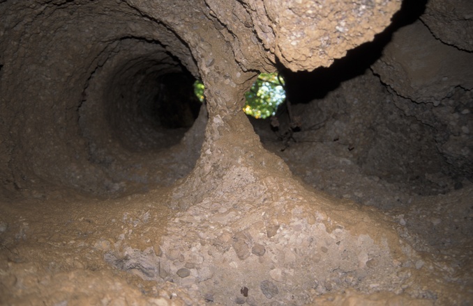 Die senkrechten, röhrenförmigen Lösungsformen