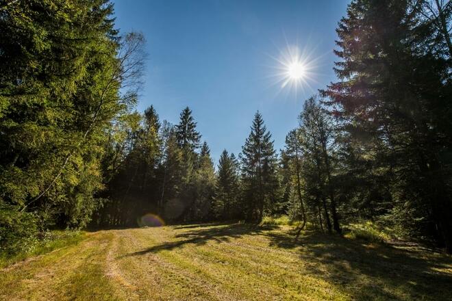Über Wiesen und durch Wälder im Chiemsee-Alpenland