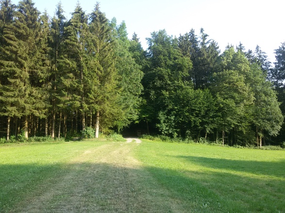 idyllischer Wanderweg