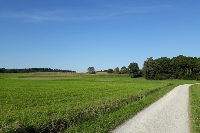 Chiemsee Rundweg