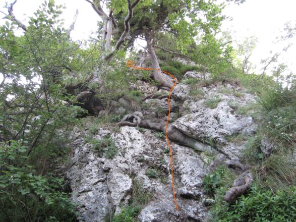 rechts an den Bäumen vorbei nach oben...