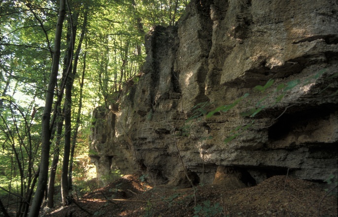 Die ehemaligen Abbauwände mit röhrenförmigen Lösungsformen